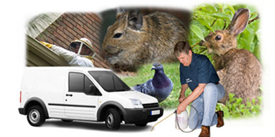 Rochdale local van
